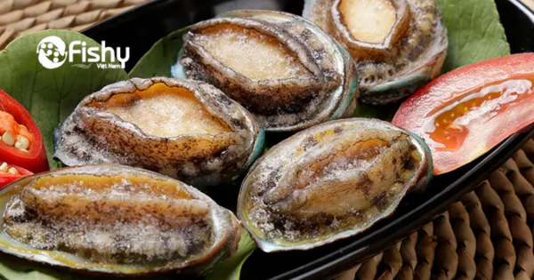 Bào ngư đông lạnh Bào ngư đông lạnh