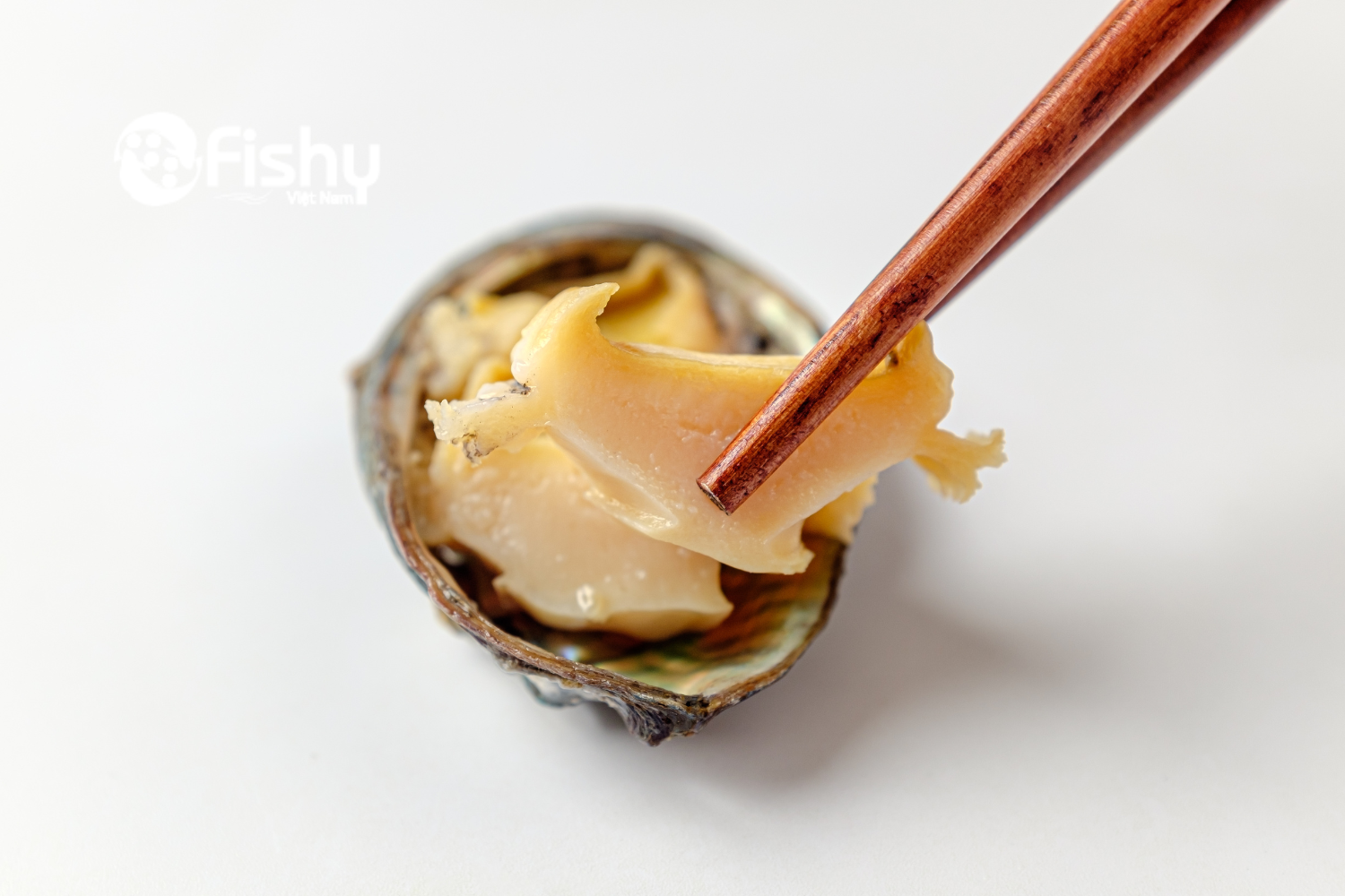 Sashimi bào ngư Sashimi bào ngư