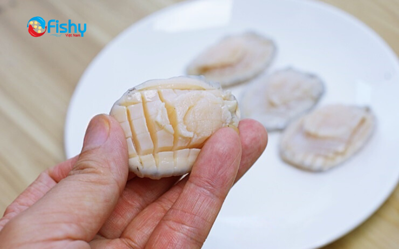 Con bào ngư Úc viền xanh Con bào ngư Úc viền xanh