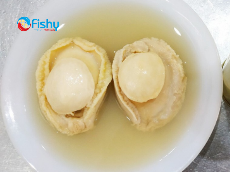 Bào ngư Úc đóng hộp Bào ngư Úc đóng hộp