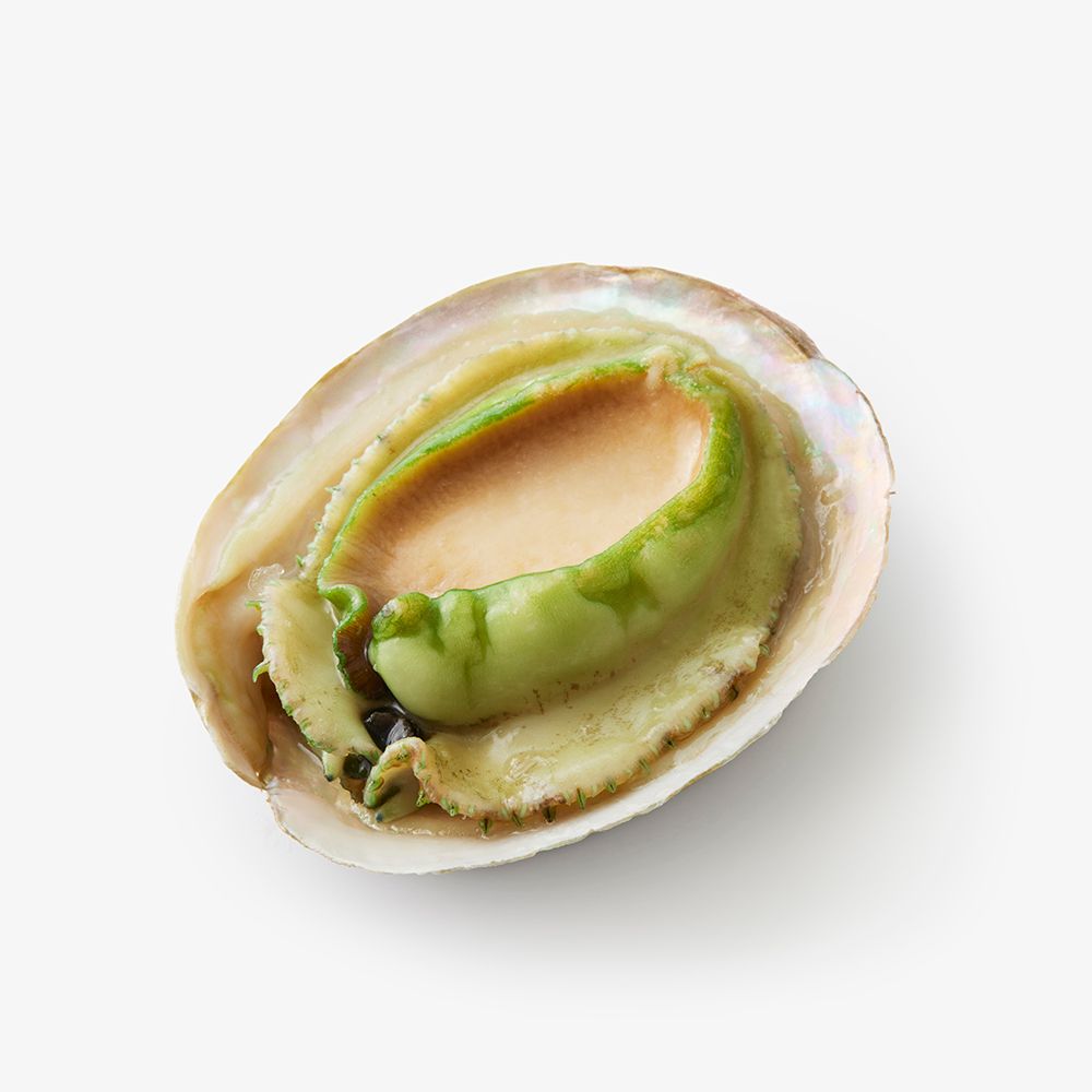 Giá trị dinh dưỡng của Bào ngư úc viền xanh Giá trị dinh dưỡng của Bào ngư úc viền xanh