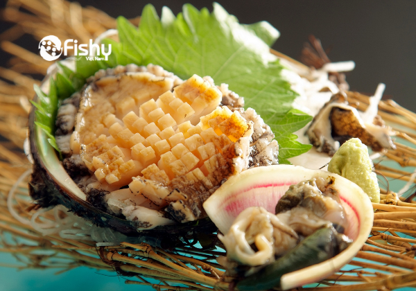 Bào ngư Úc cắt tỉa đẹp mắt Bào ngư Úc cắt tỉa đẹp mắt