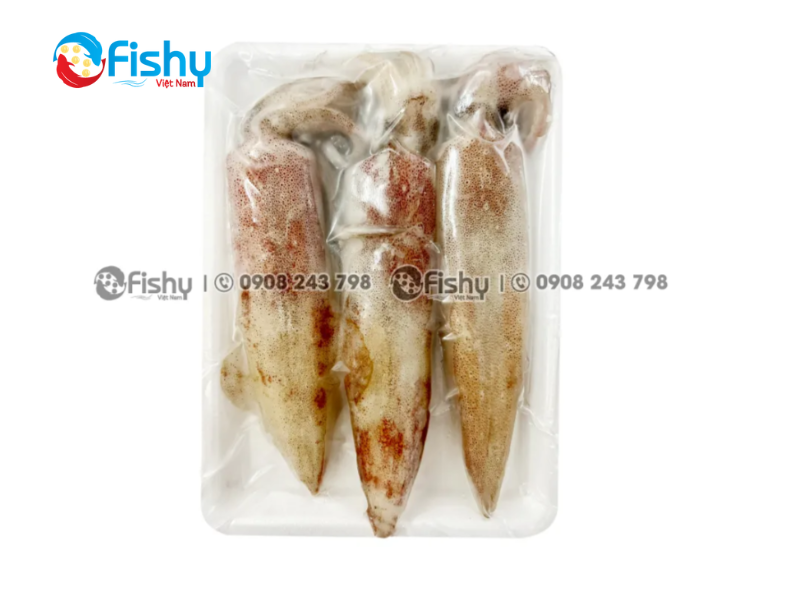 Bí quyết lựa chọn Mực ống đông lạnh Bí quyết lựa chọn Mực ống đông lạnh