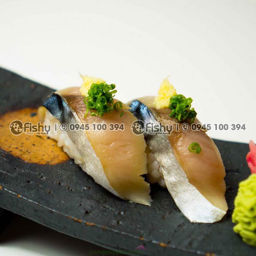 Nigiri sashimi cá saba ngâm giấm Nigiri sashimi cá saba ngâm giấm