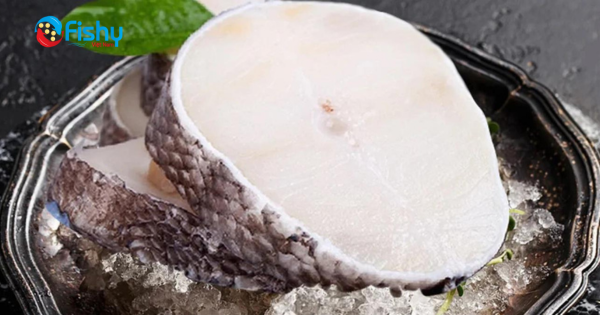 Top 5 Great Effects of French Toothfish Top 5 Great Effects of French Toothfish