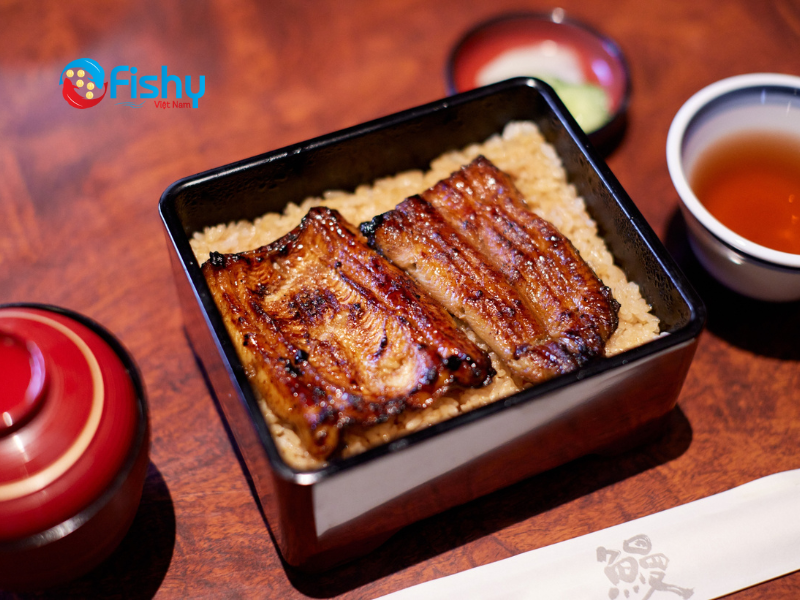Lươn nhật nướng sốt Kabayaki Lươn nhật nướng sốt Kabayaki