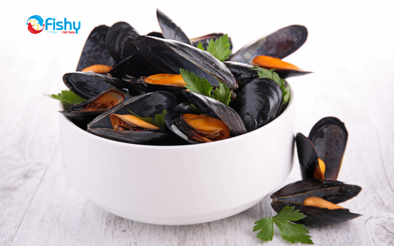 Chilean green mussels Chilean green mussels
