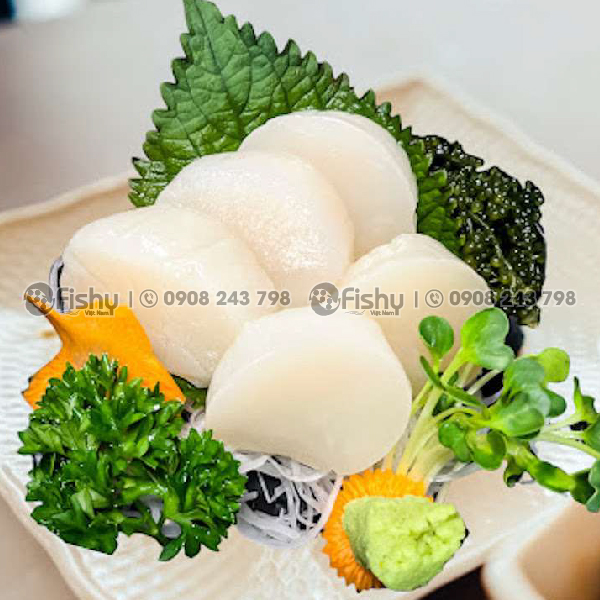 Cồi sò điệp Nhật Cồi sò điệp Nhật