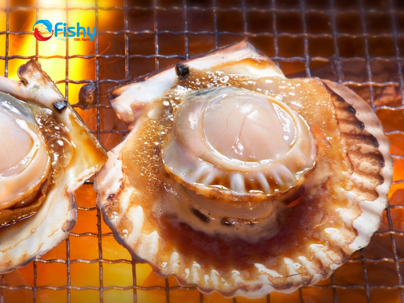 Cồi sò điệp nướng mỡ hành
