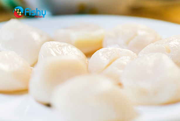 Cồi Sò Điệp Nhật Bản - Hải Sản Cao Cấp Cồi Sò Điệp Nhật Bản - Hải Sản Cao Cấp