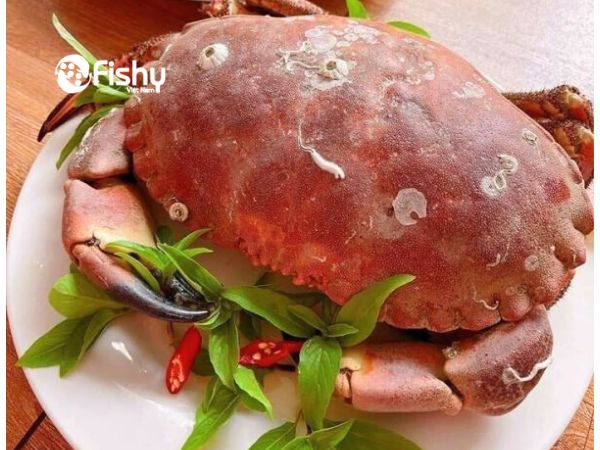 Frozen whole brown crab Frozen whole brown crab