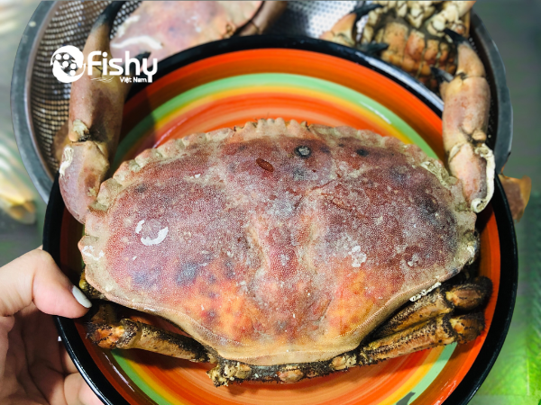 Cua nâu hấp chín Cua nâu hấp chín