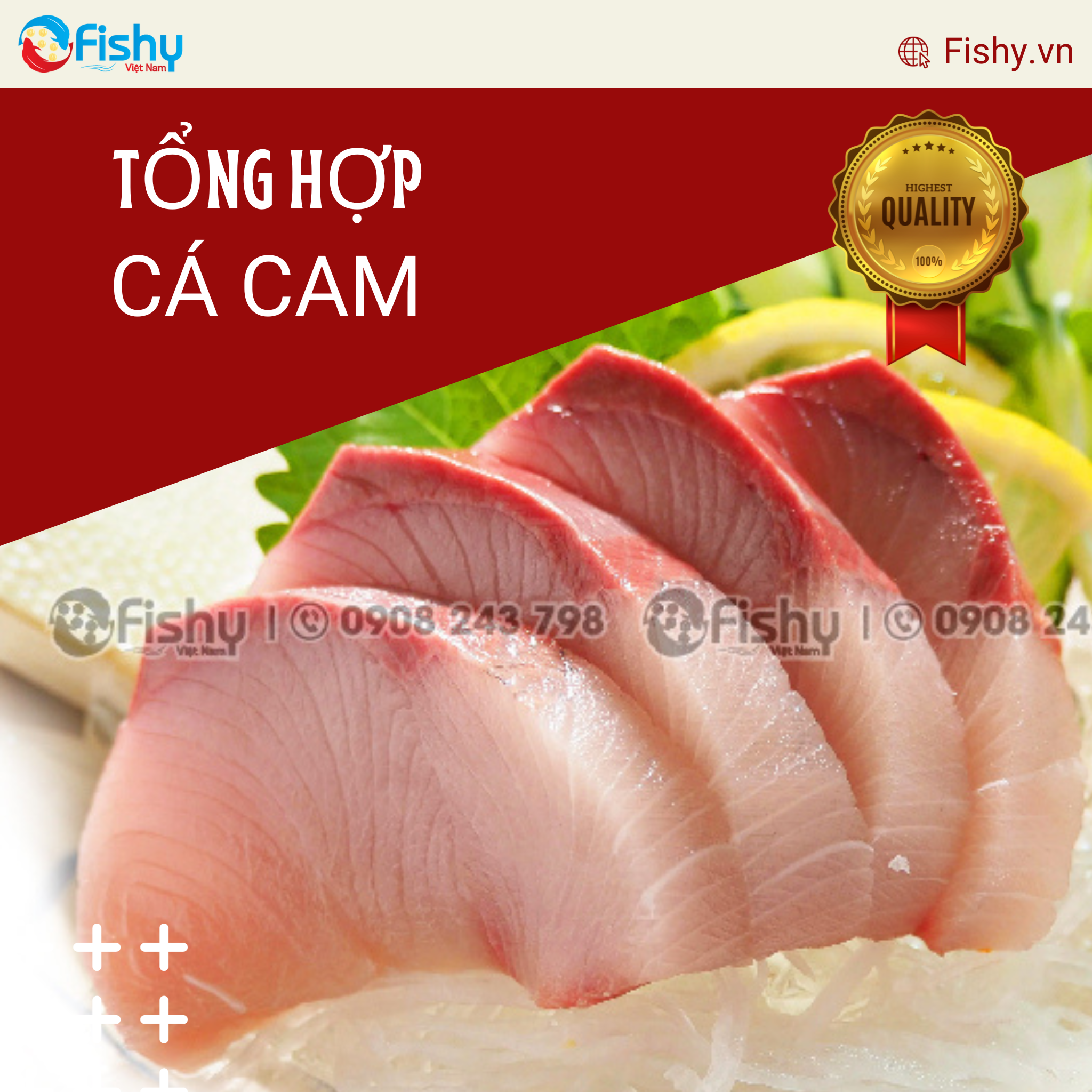 tổng hợp cá cam tổng hợp cá cam