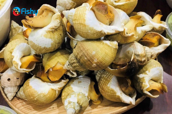 What is Bulot? What is Bulot?