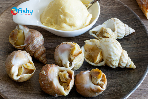 Bulot with Mayonnaise Sauce Bulot with Mayonnaise Sauce