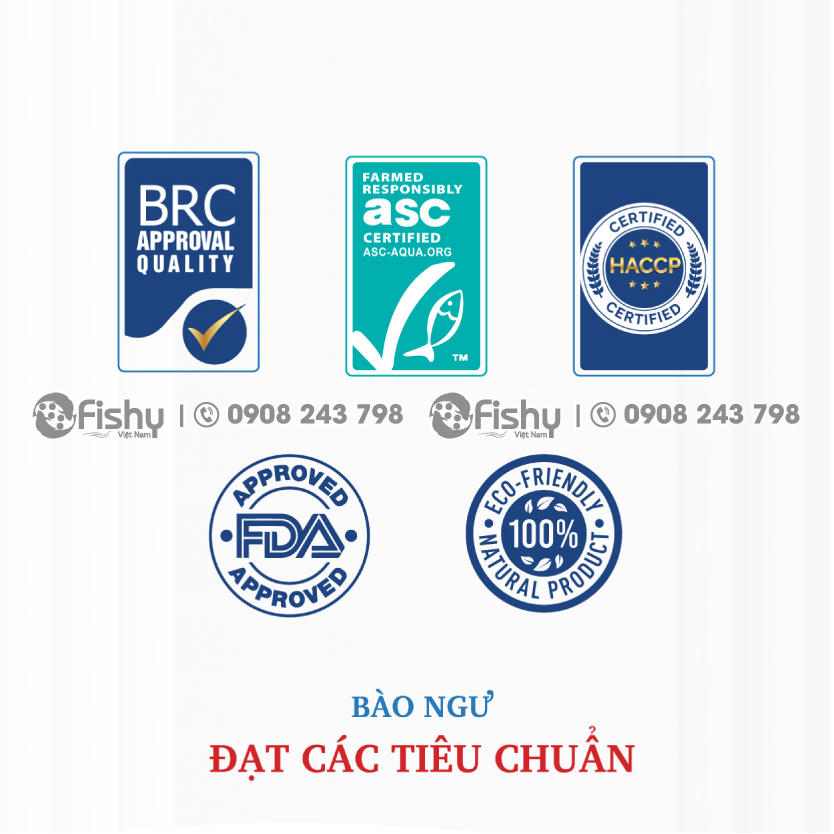 quality abalone soup quality abalone soup