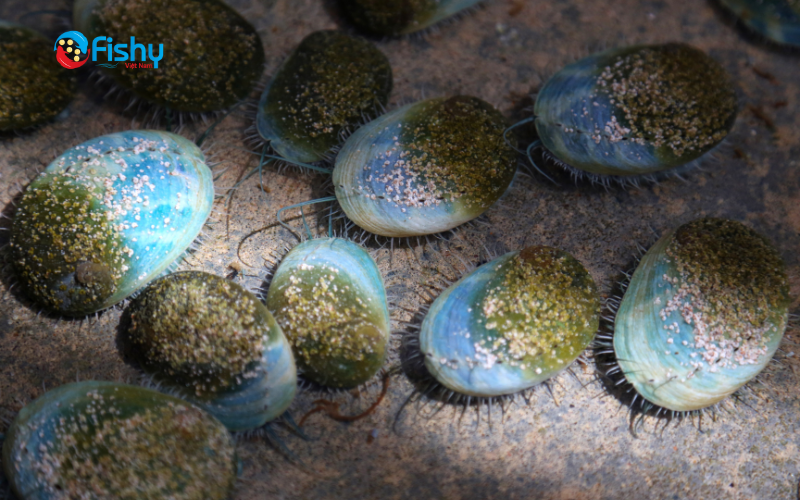 What is sustainable seafood? What is sustainable seafood?