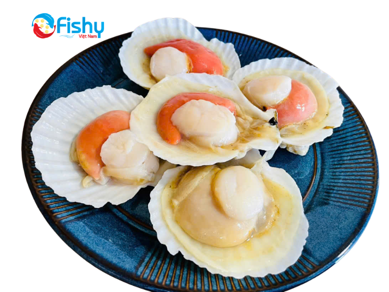 sò điệp fishy việt nam sò điệp fishy việt nam