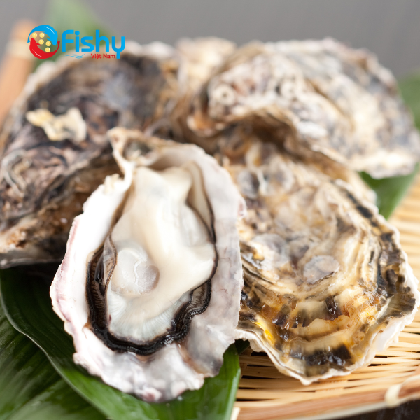 Giá Trị Dinh Dưỡng Của Hàu Nhật Giá Trị Dinh Dưỡng Của Hàu Nhật