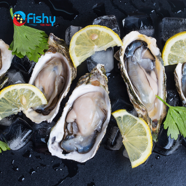 Công Dụng Tuyệt Vời Của Hàu Nhật Công Dụng Tuyệt Vời Của Hàu Nhật