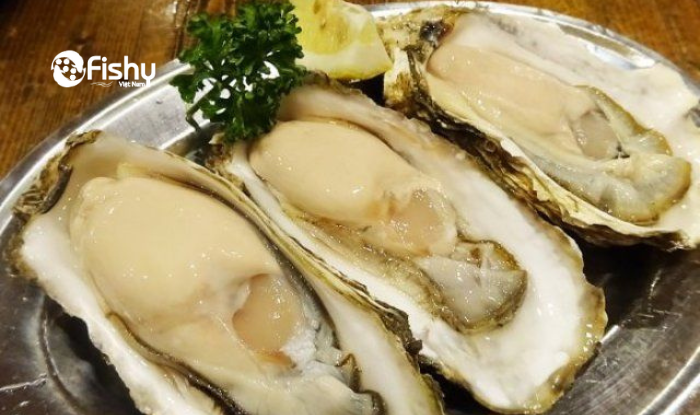 Hàu đông lạnh Hàu đông lạnh