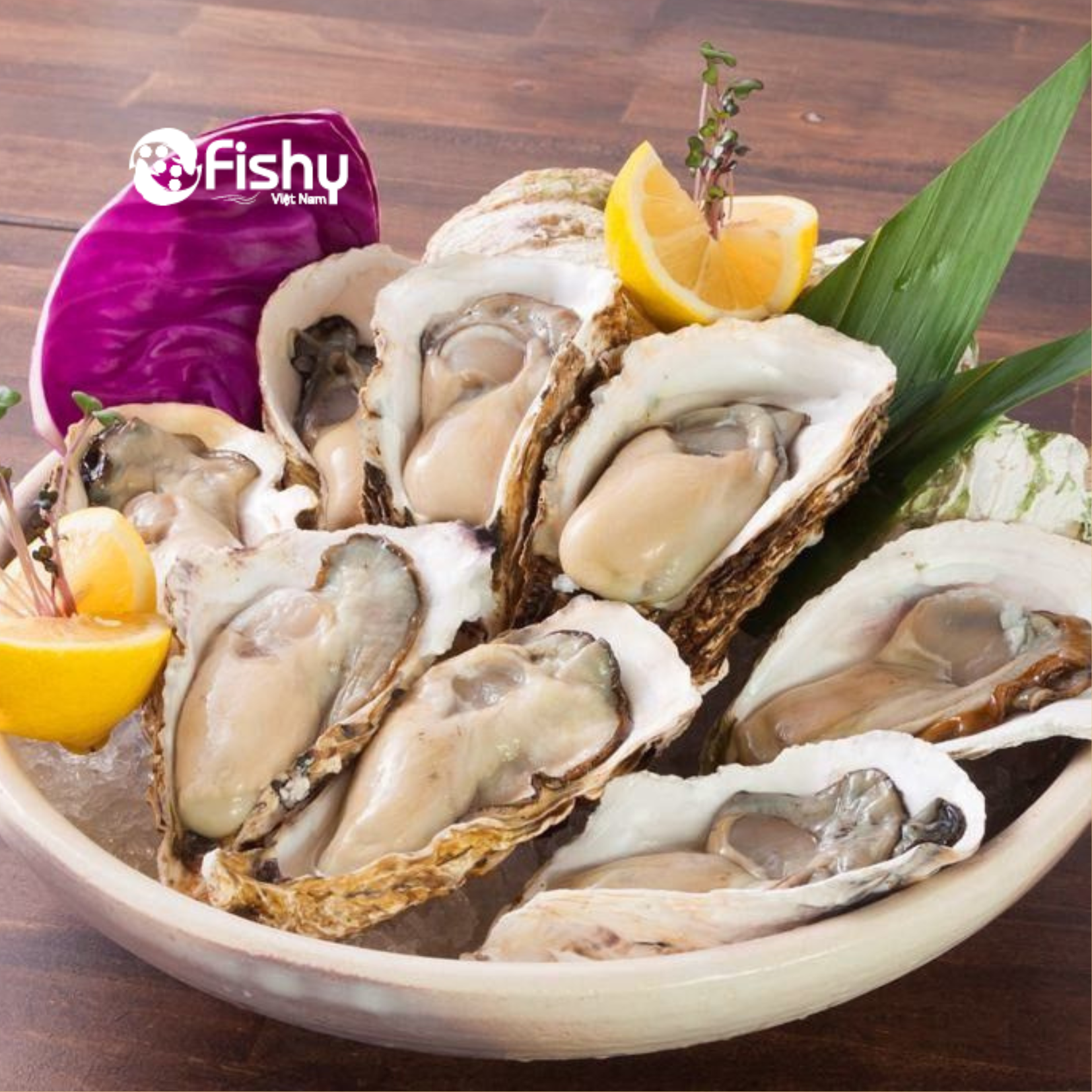 Hàu nhật dinh dưỡng cần thiết cho cơ thể Hàu nhật dinh dưỡng cần thiết cho cơ thể