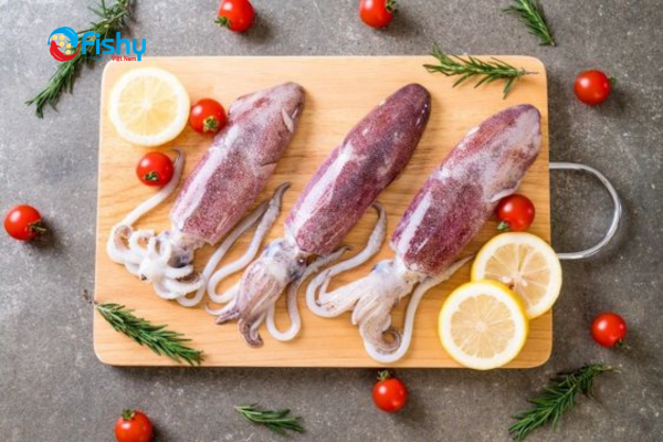 What is Squid? What is Squid?