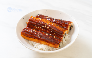 Lươn nướng Nhật thơm ngon béo ngậy Lươn nướng Nhật thơm ngon béo ngậy