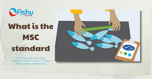 MSC standard MSC standard