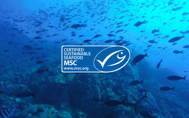 Tiêu chuẩn MSC là gì Tiêu chuẩn MSC là gì