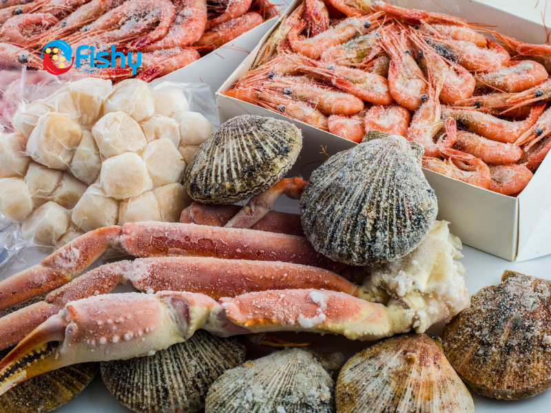 hải sản đông lạnh nhập khẩu hải sản đông lạnh nhập khẩu