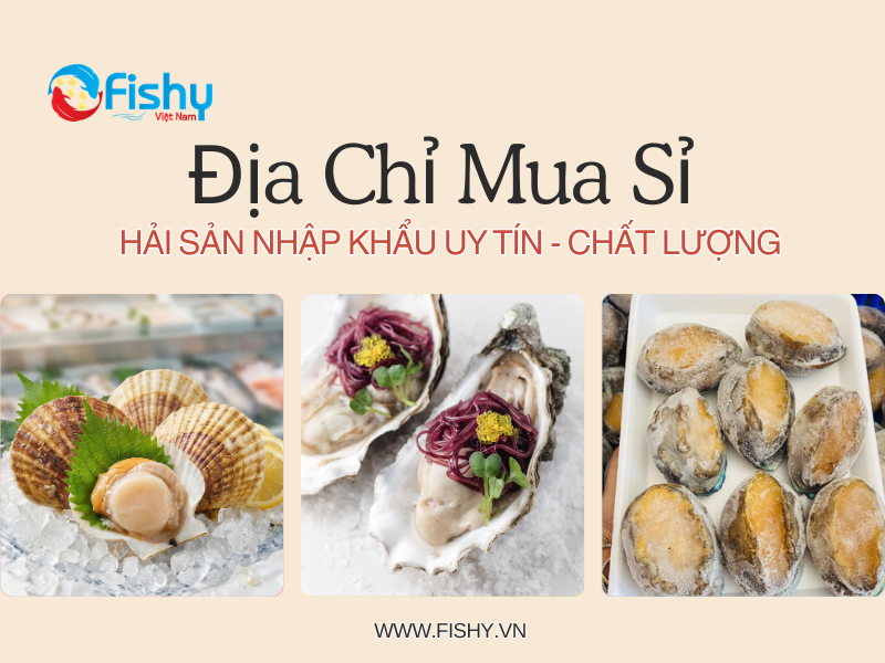 hải sản nhập khẩu giá sỉ hải sản nhập khẩu giá sỉ