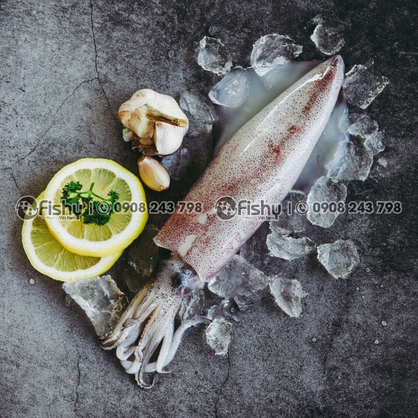 Mực Ống Nguyên Con Đông Lạnh Mực Ống Nguyên Con Đông Lạnh