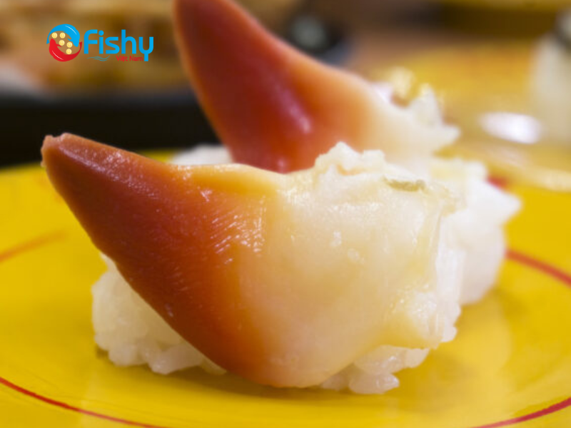 nigiri sushi sò đỏ nigiri sushi sò đỏ