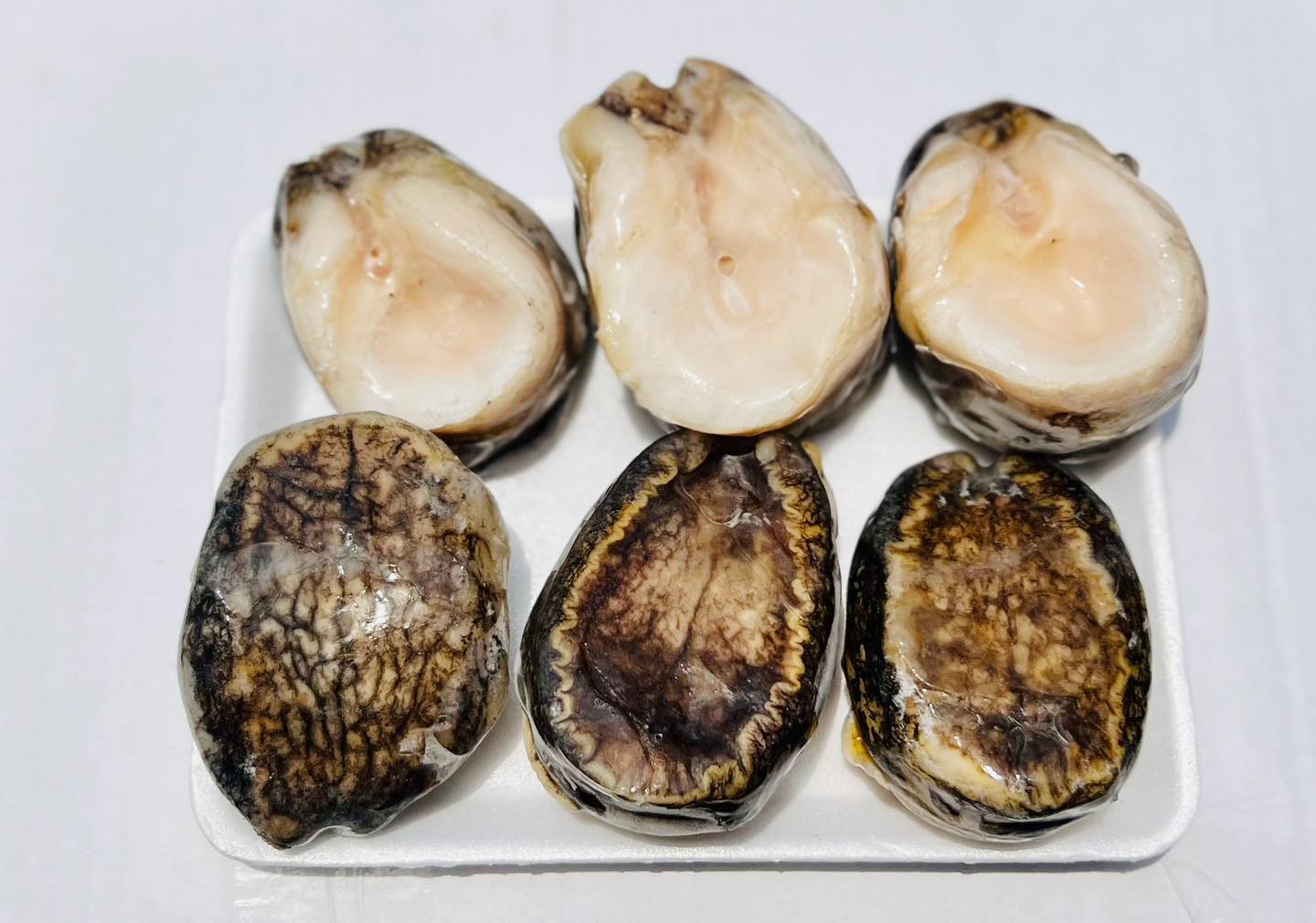 Chilean Abalone Meat Chilean Abalone Meat