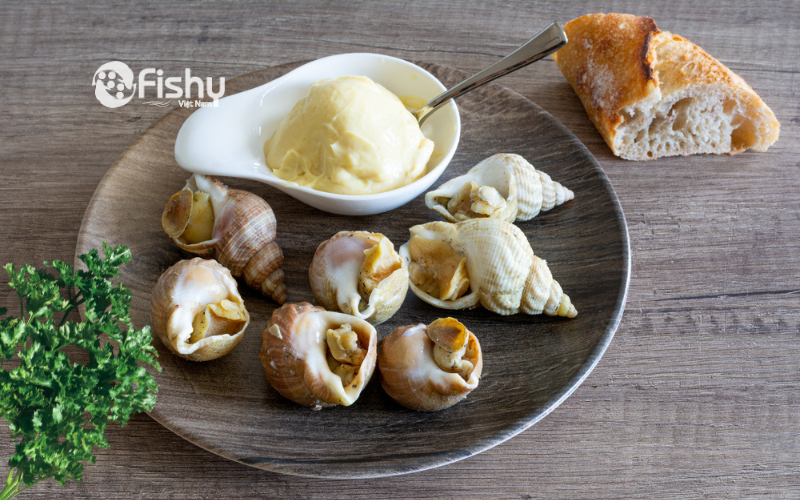ốc bulot ăn kèm với sốt mayonnaise ốc bulot ăn kèm với sốt mayonnaise