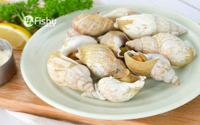 Cách làm ốc Bulot Pháp sốt Pesto và Hollandaise Cách làm ốc Bulot Pháp sốt Pesto và Hollandaise