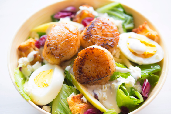 salad cồi sò điệp salad cồi sò điệp