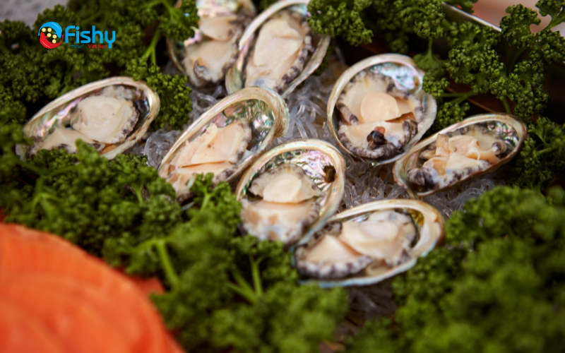 What is abalone? What is abalone?