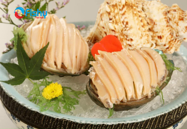 Abalone Sashimi Abalone Sashimi