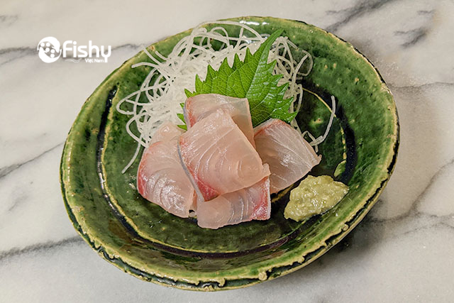 Sashimi Japanese hamachi amberjack Sashimi Japanese hamachi amberjack