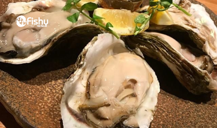 Hàu nhật dinh dưỡng cần thiết cho cơ thể Hàu nhật dinh dưỡng cần thiết cho cơ thể