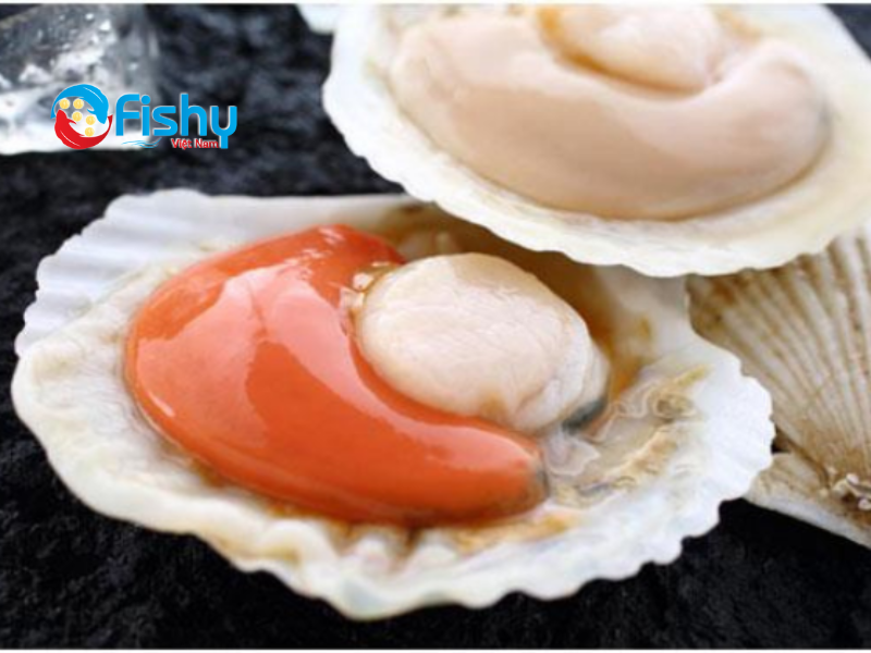 Frozen halfshell scallop Frozen halfshell scallop