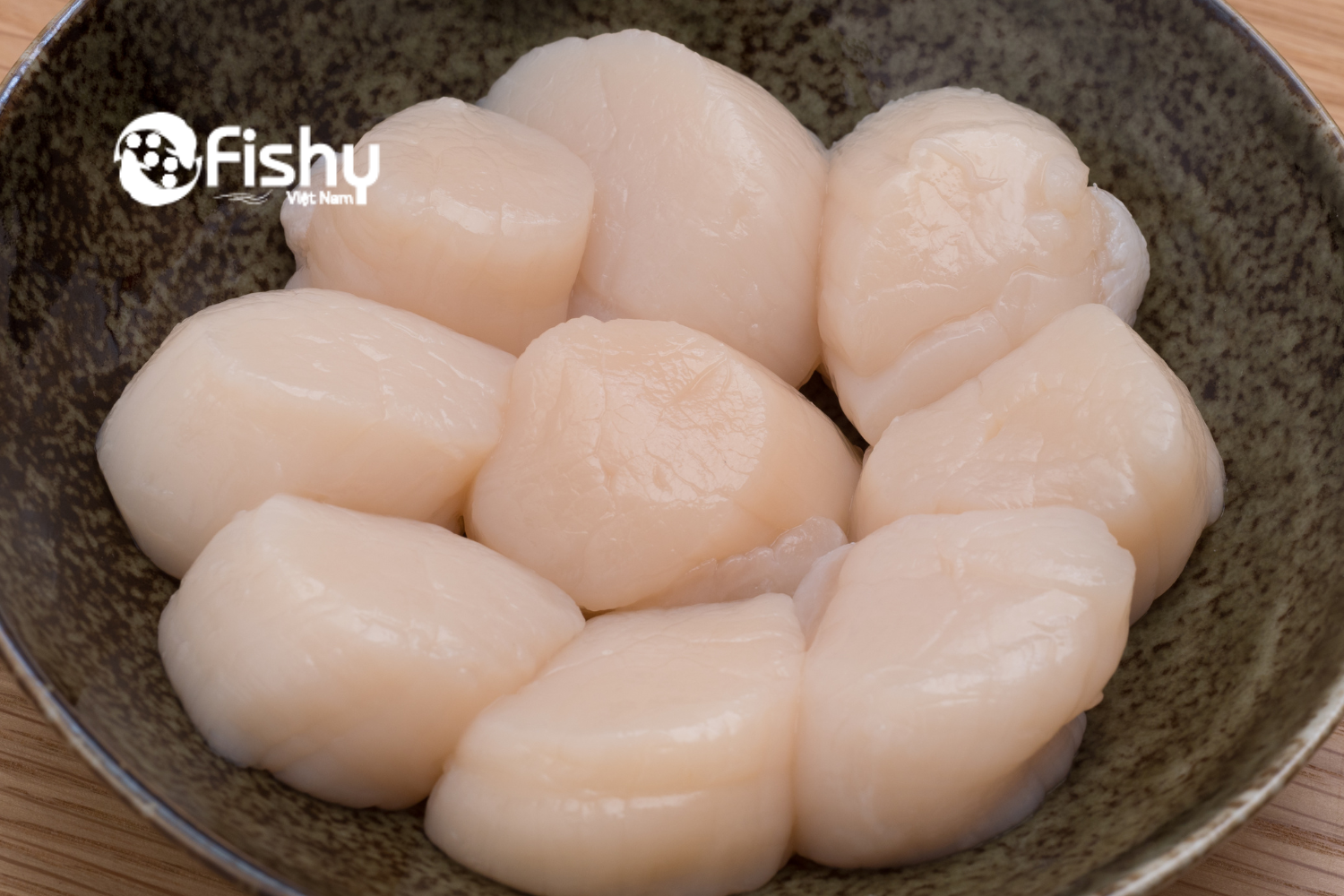 Sò điệp Nhật Hokkaido trắng mềm Sò điệp Nhật Hokkaido trắng mềm