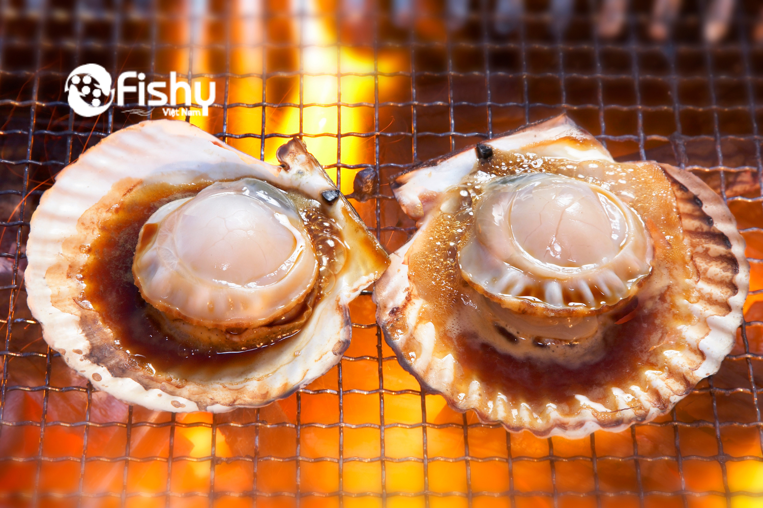 Sò điệp nướng sốt Sò điệp nướng sốt