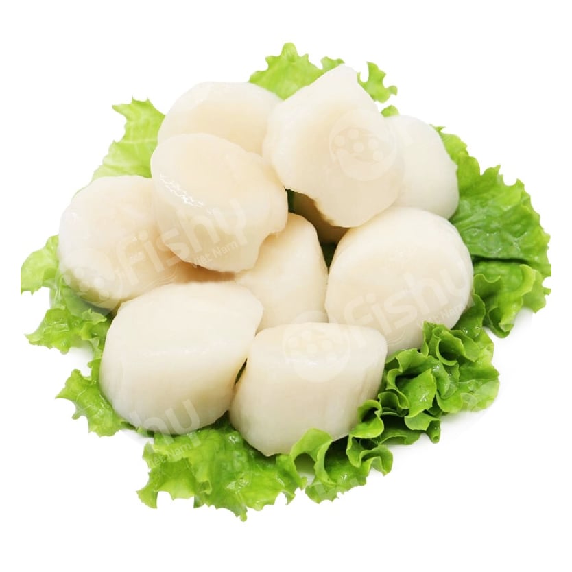hải sản nhập khẩu cồi sò điệp