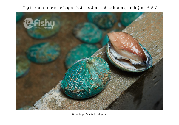 Tại sao nên chọn hải sản có chứng nhận ASC Tại sao nên chọn hải sản có chứng nhận ASC
