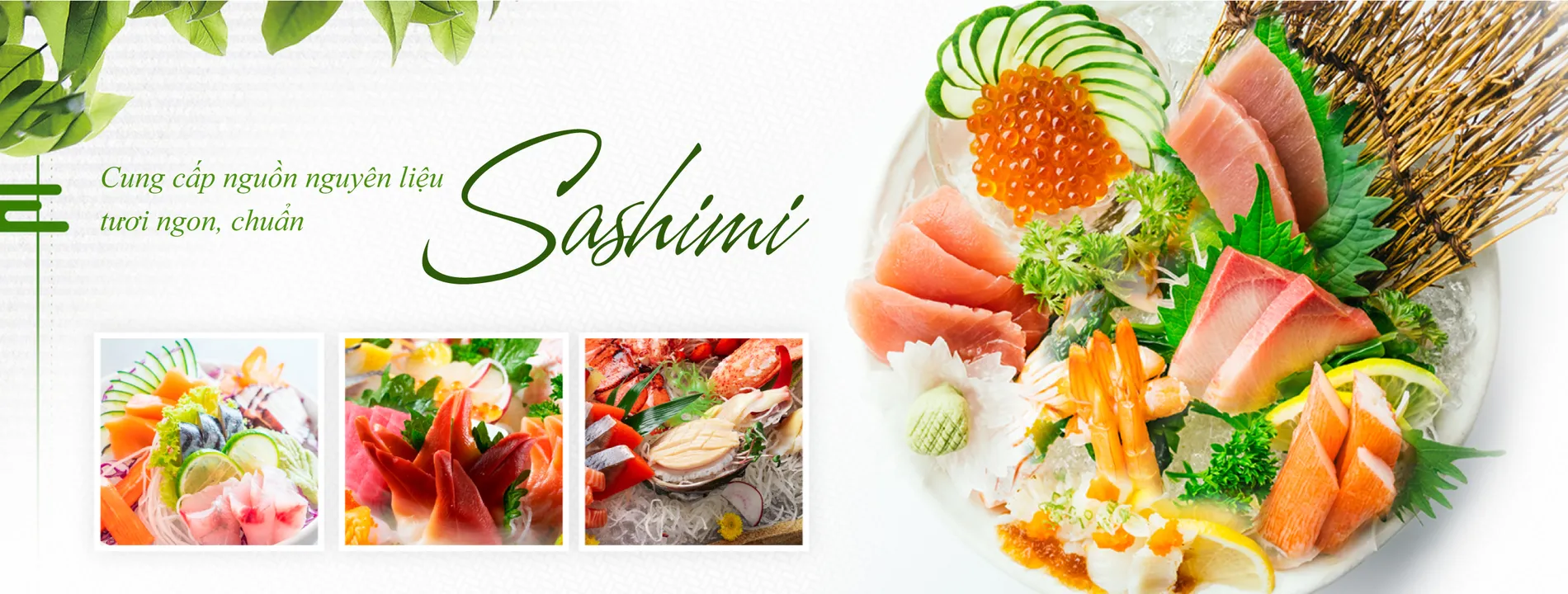 công ty tnhh fishy viet nam