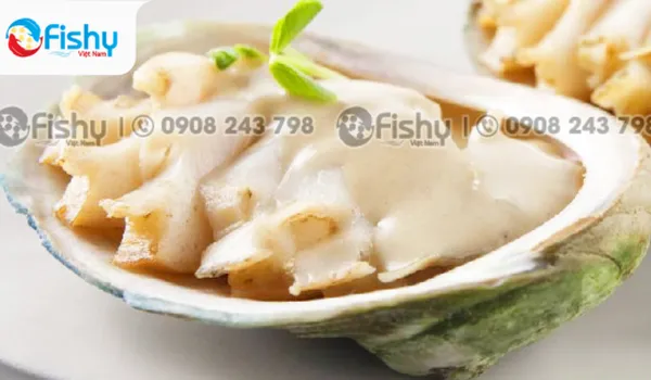 Bào Ngư Úc Viền Xanh Được Ưa Chuộng