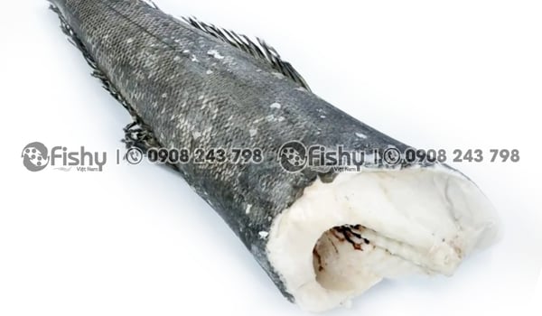 Cách Chọn Cá Tuyết Pháp (Toothfish) Ngon Chuẩn Vị